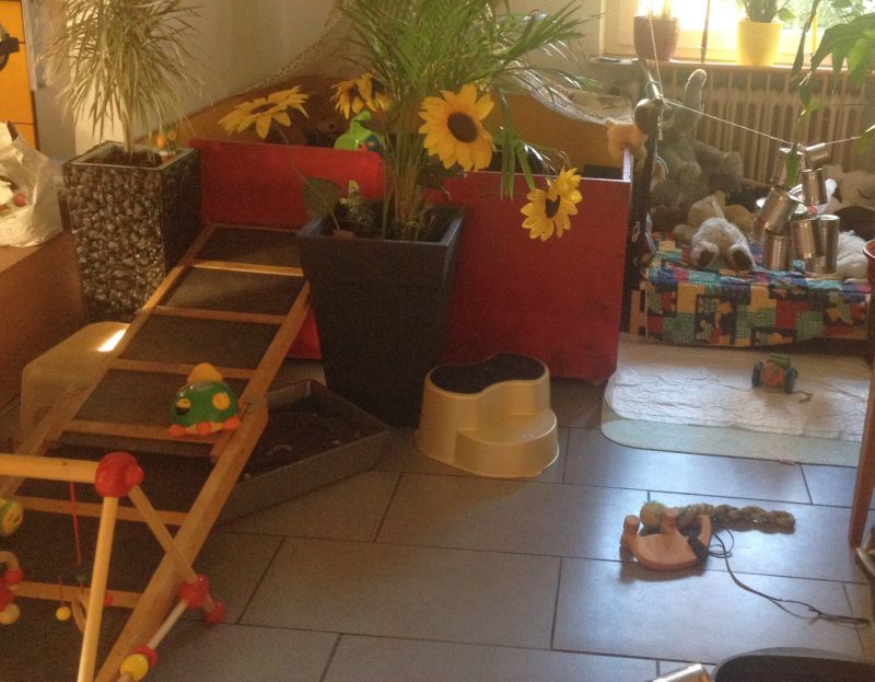 Tibi Welpenspielplatz im Haus